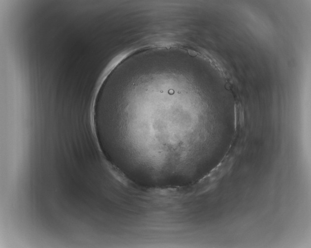 X0000113920147200909241537