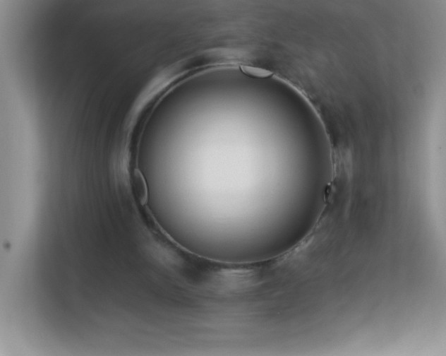 X0000113920150200909241537