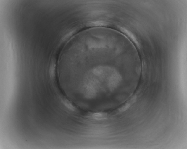 X0000113920153200909241537