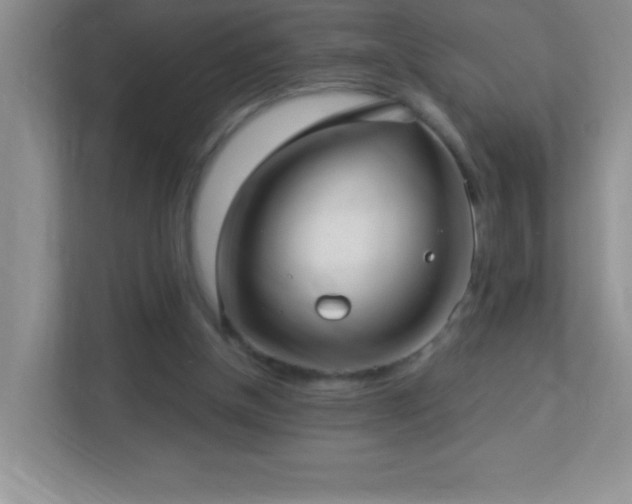 X0000113920154200909241537