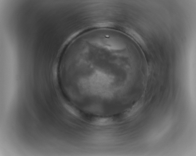 X0000113920155200909241537