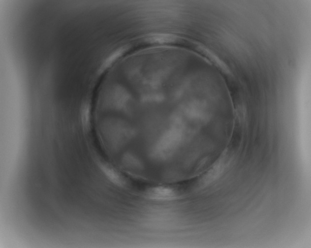 X0000113920159200909241537