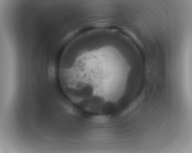 X0000113920161200909241537