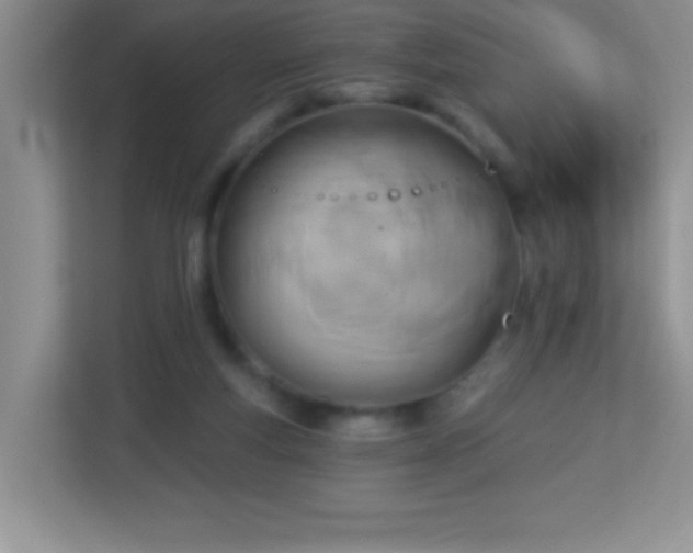 X0000113920163200909241537