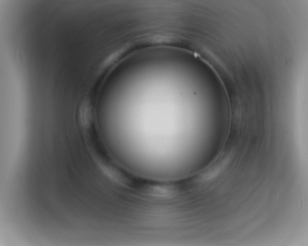 X0000113920164200909241537