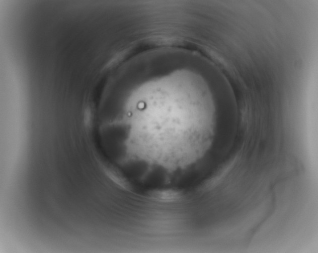 X0000113920165200909241537