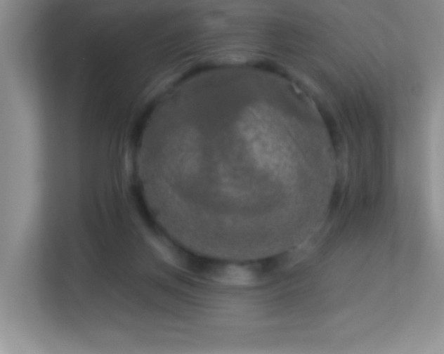 X0000113920166200909241537