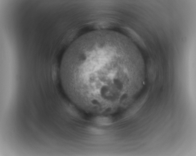 X0000113920169200909241537