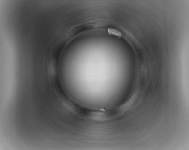 X0000113920170200909241537