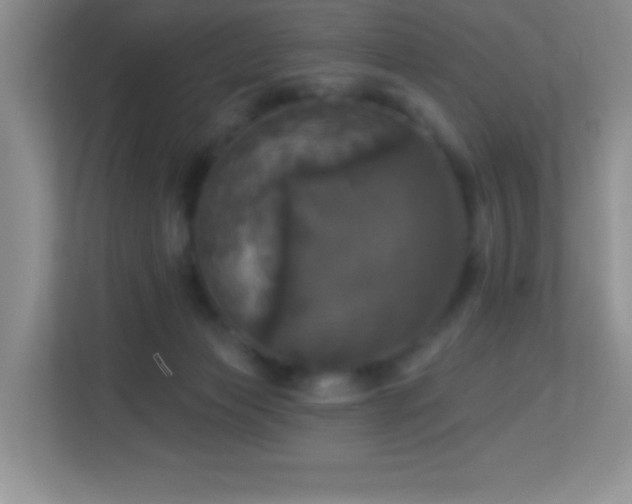 X0000113920173200909241537