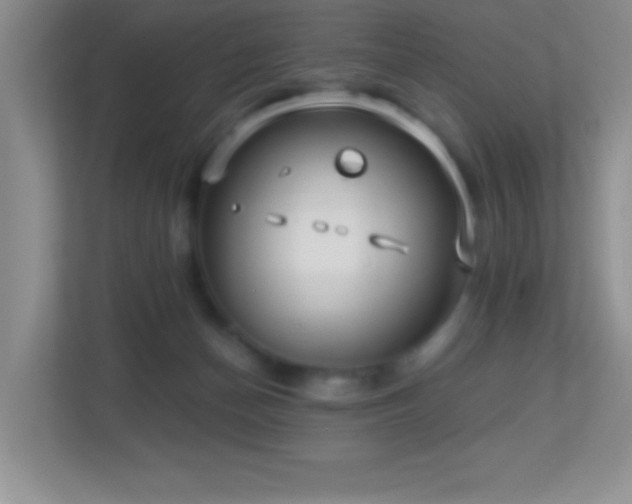 X0000113920174200909241537