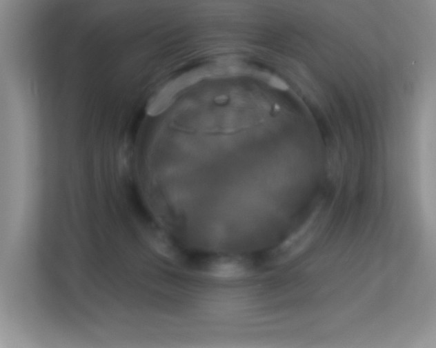 X0000113920175200909241537