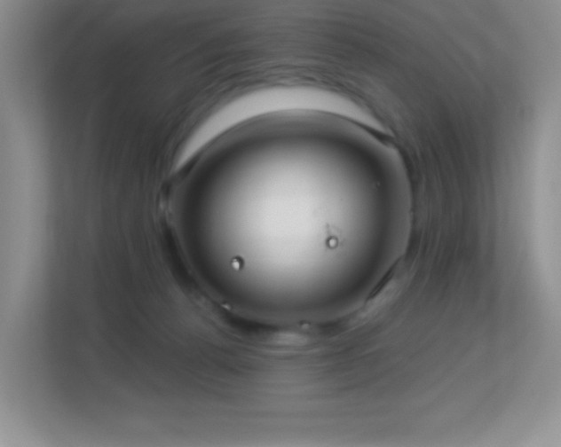 X0000113920176200909241537