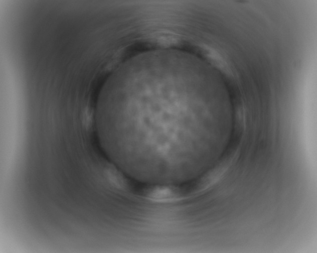 X0000113920177200909241537