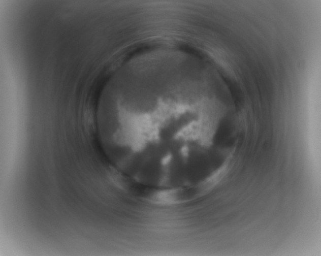 X0000113920178200909241537