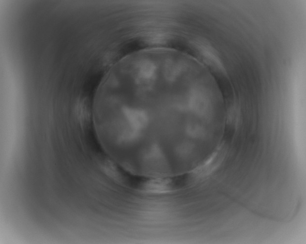 X0000113920179200909241537