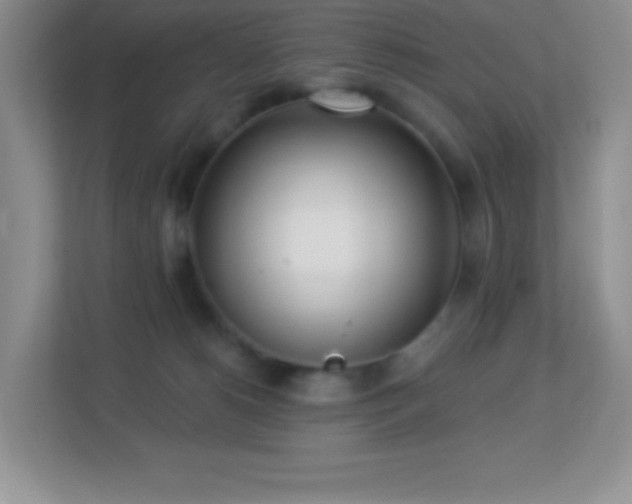 X0000113920180200909241537