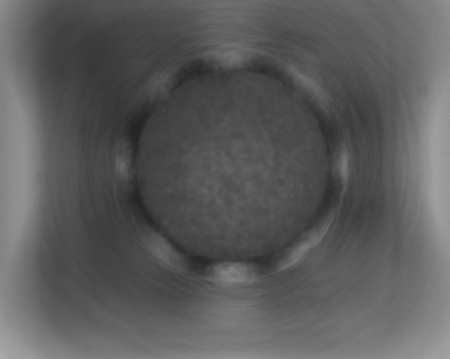 X0000113920181200909241537