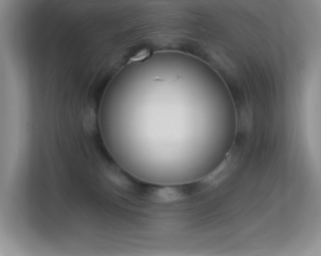 X0000113920183200909241537