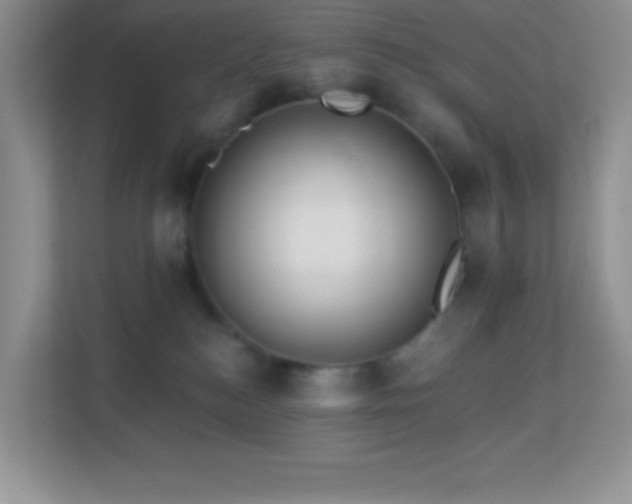 X0000113920184200909241537