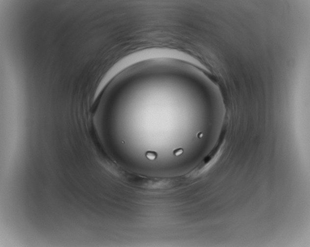 X0000113920186200909241537