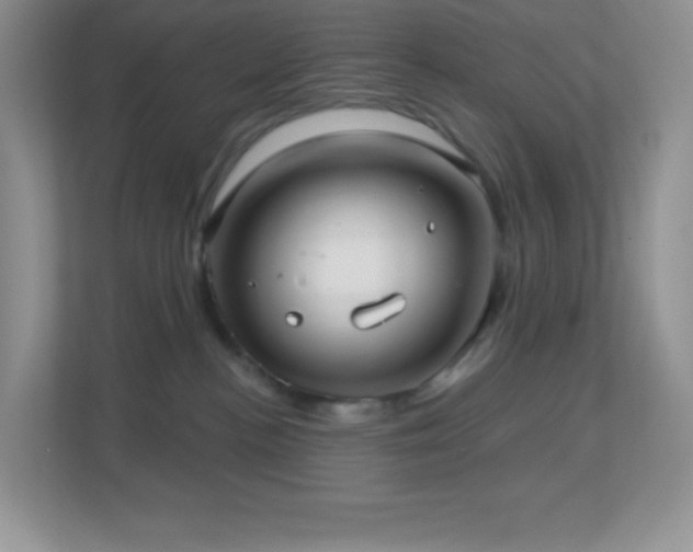 X0000113920188200909241537