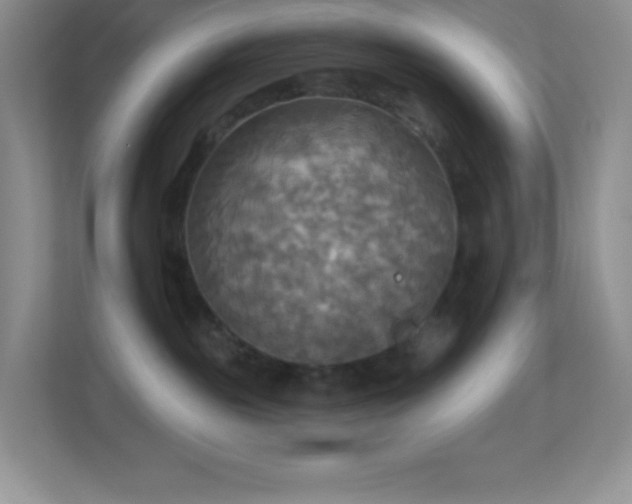 X0000113920189200909241537