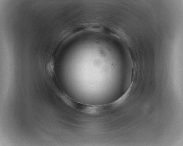 X0000113920190200909241537