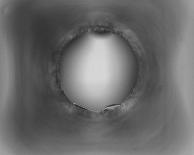 X0000113920192200909241537