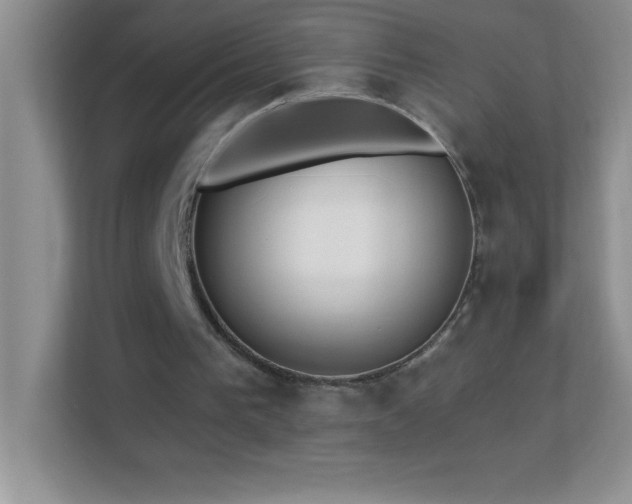 X0000113920193200909241537