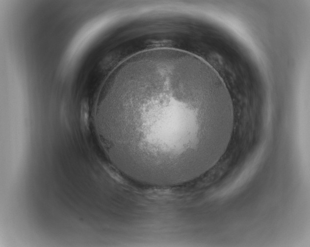 X0000113920194200909241537