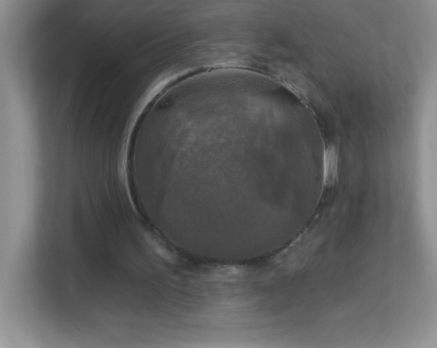 X0000113920195200909241537