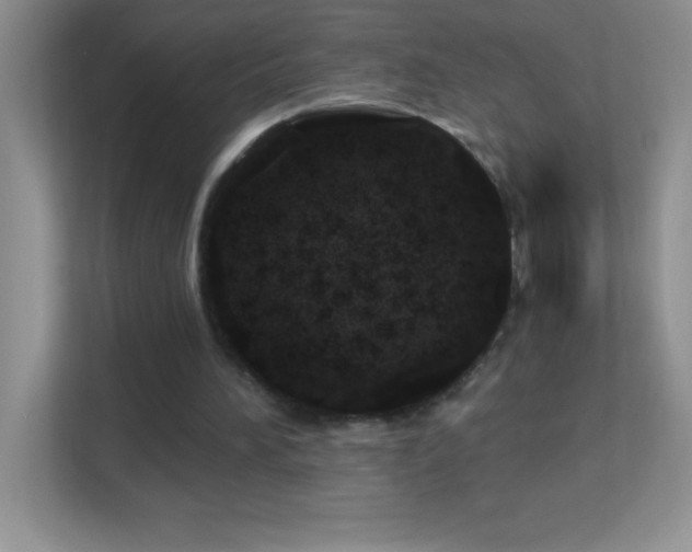 X0000113920196200909241537