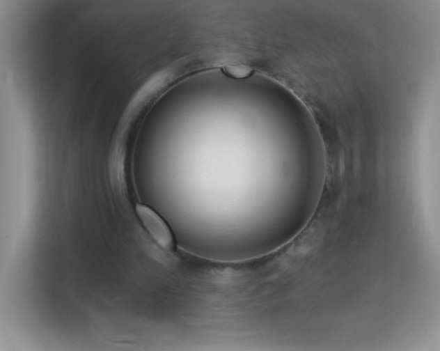 X0000113920197200909241537