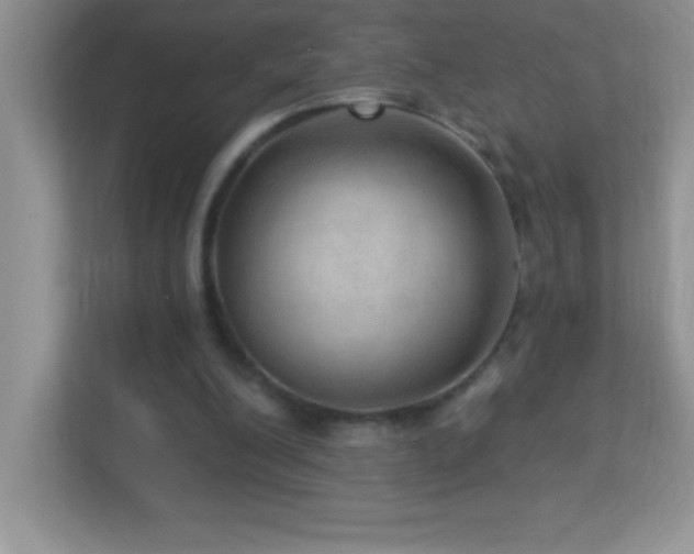 X0000113920200200909241537