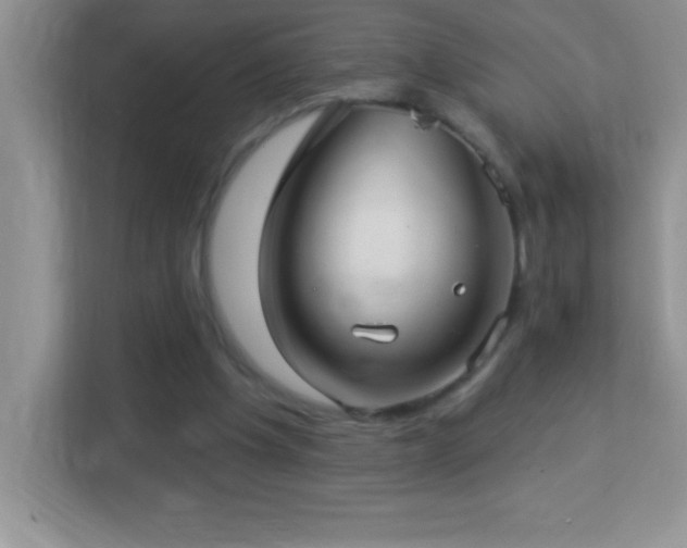 X0000113920201200909241537