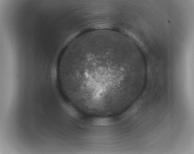 X0000113920202200909241537