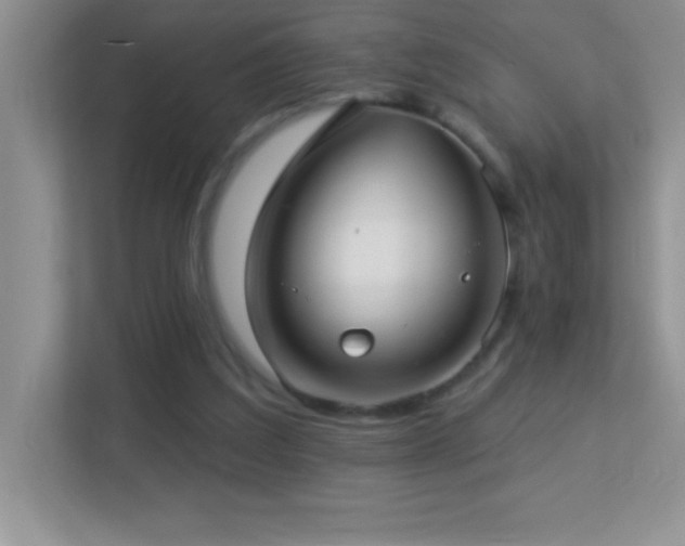 X0000113920203200909241537