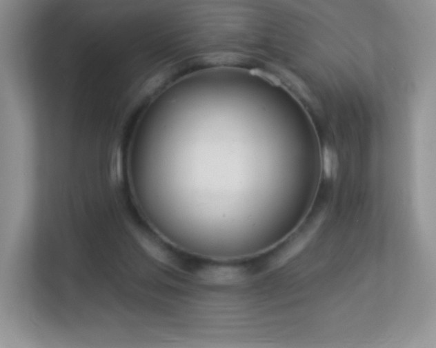 X0000113920205200909241537