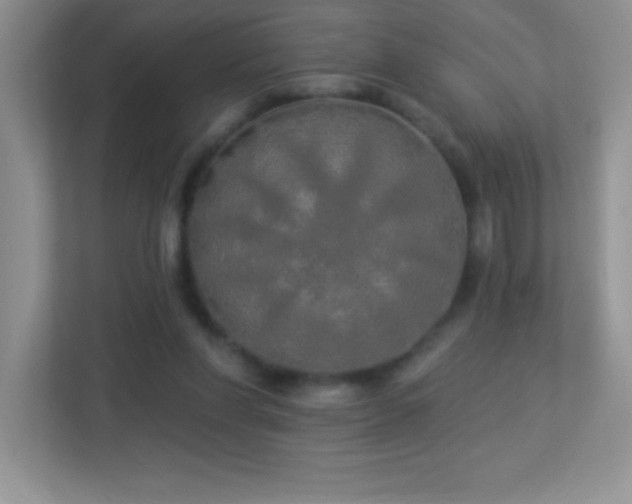 X0000113920206200909241537