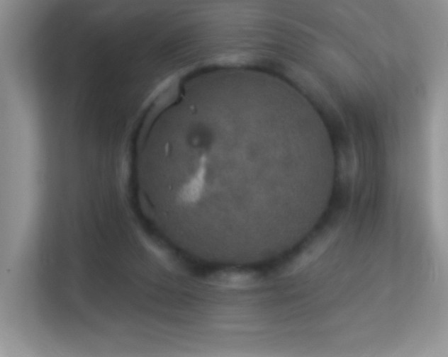 X0000113920208200909241536