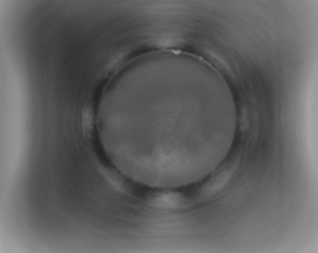 X0000113920210200909241536