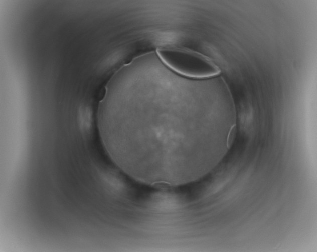 X0000113920211200909241536