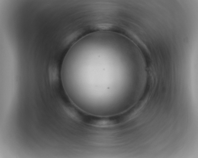 X0000113920212200909241536