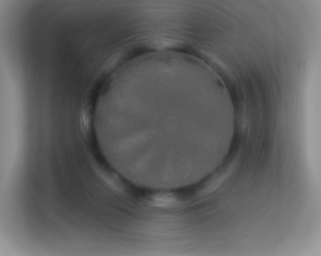 X0000113920214200909241536