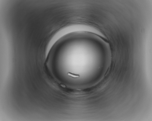 X0000113920215200909241536