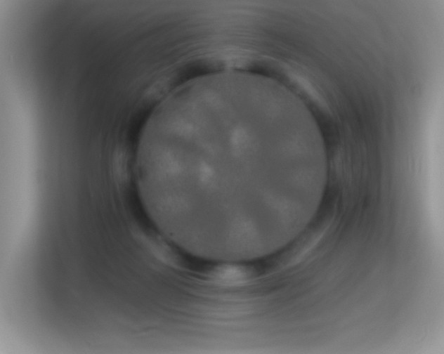 X0000113920218200909241536