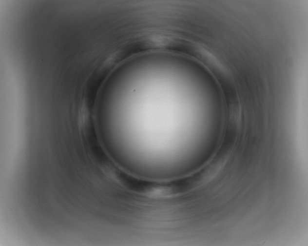 X0000113920220200909241536