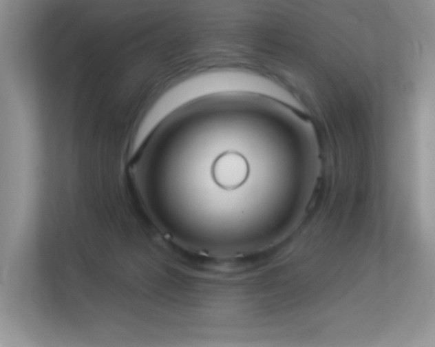 X0000113920221200909241536