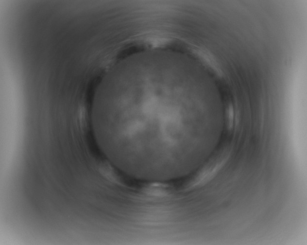 X0000113920222200909241536